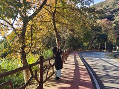 -广州市石门国家森林公园