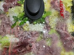 -古彭7只羊·招牌白串·碳锅羊肉旗舰店