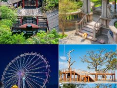 -有腥气私房菜·寻味顺德