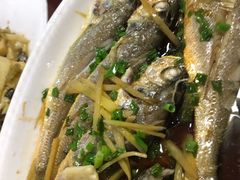 -福建美食城(老君堂店)