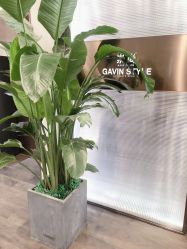 -崇尚GAVIN STYLE臻选