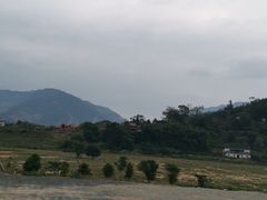 -福建土楼（华安）旅游区•大地土楼群