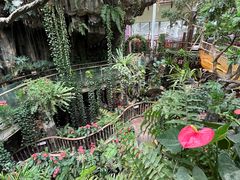 -正佳雨林生态植物园