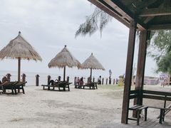 -北海金海湾红树林生态旅游区