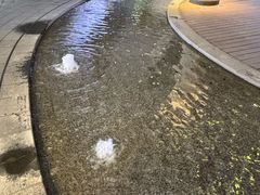-瑞虹新天地月亮湾