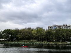 -新江湾城公园