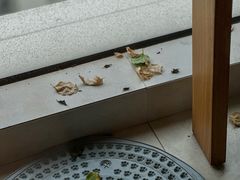 -修申骨雕小颜脊柱骨盆管理产后修复