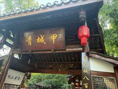 -青城甲(青城山店)