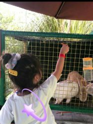 -可可天空农场(中大店)