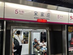 -宋家庄(地铁站)