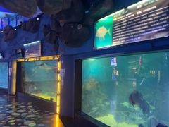 -烟台海昌鲸鲨海洋公园