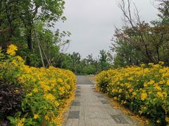 -奔跑吧乐园