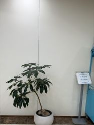 -上海伊莱美医疗美容医院