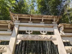 -午潮山国家森林公园
