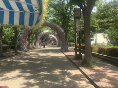 -洛阳市隋唐城遗址植物园