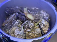 -千岛蚝高压锅生蚝·人参火锅(白云万达店)