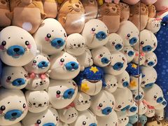 -海合安青岛极地海洋公园