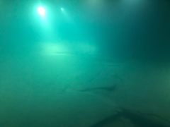 -白鹤梁水下博物馆