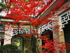 -浙江西子宾馆·瑶园咖啡厅