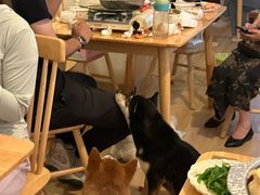 -柴の食堂·日式家庭料理·熊之肆(大学路店)