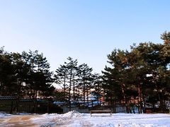 -景福宫