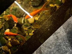 -颐和•海鲜砂锅粥•啫啫煲(奥林匹克广场店)