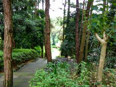 -铁山坪森林公园