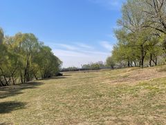 -长白岛森林公园