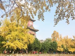 -四川大学(华西校区)