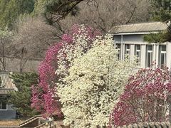 -红螺寺