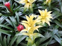 -北京植物园-展览温室