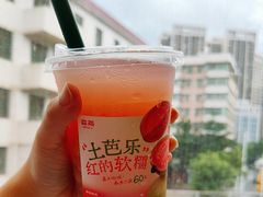 土芭乐百香冰茶-森茶(湛江万达店)