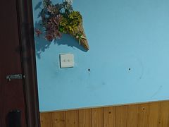 -叉叉纳里客栈(珠海情侣路唐家湾沙滩店)