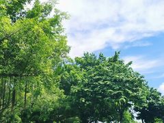 -南宁南湖公园