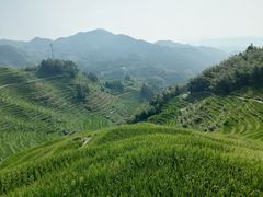 -紫鹊界梯田景区