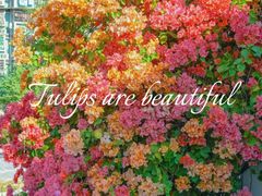 -天河客运站(地铁站)