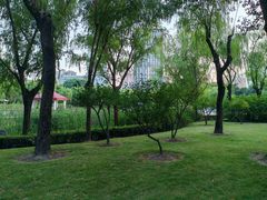 -新虹桥中心花园