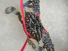 -渔人湾码头海鲜市场负二楼