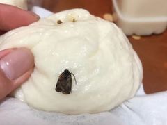 -老面包子·粥(龙福苑店)