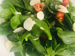 芥末坚果穿心莲-子霖南山鲜虾面(南山总店)