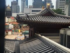 -新加坡佛牙寺龙华院