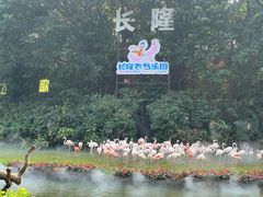 -广州长隆飞鸟乐园