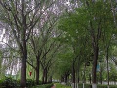 -西安汉城湖景区