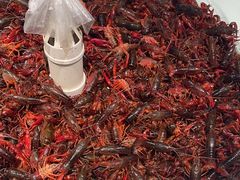 -藜爱·山海情海鲜自助(万达广场店)