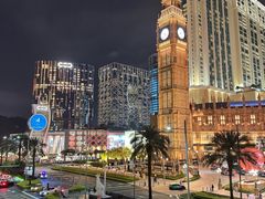 -澳门威尼斯人综合度假区