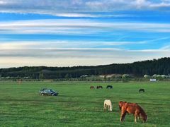 -塞罕坝国家级自然保护区