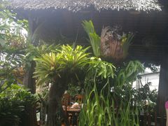 -自然餐厅(Phuket)
