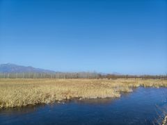 -野鸭湖国家湿地公园