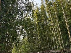 -石湖景区