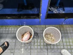 -小海豚•老字号海鲜餐厅(天涯店)